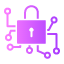 network-information-security-padlock-secure-networking-lock-icon