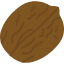 walnut-kernel-nut-food-organic-snack-icon