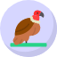 vulture-icon