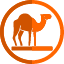 camel-icon