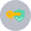 shield-key-pass-password-protection-security-secure-icon