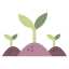 plant-garden-green-grow-leaf-soil-icon