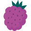 fruit-food-grape-icon-icon
