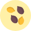 sesame-food-seeds-ingredient-cooking-icon