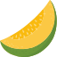 fruit-food-mango-icon-icon