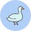 animal-canard-drake-duck-duckling-goose-icon