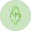 agriculture-maize-vegetable-corn-food-grain-icon