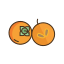 persimmons-icon