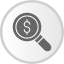 audit-business-dollar-magnifier-money-searching-icon