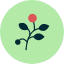 branch-environment-leaves-nature-plant-spring-icon