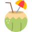 coconut-drink-trip-transport-way-icon