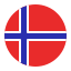norway-country-flag-nation-circle-icon