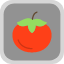 fruit-pomodoro-sauce-tomate-tomato-tomatoes-fruits-and-vegetables-icon