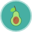 avocado-food-fruit-health-healthy-organic-vegetable-icon