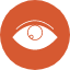 businesseye-opportunity-vision-icon
