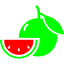 fruit-food-watermelon-icon-icon