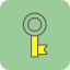 key-icon