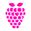 raspberry-icon