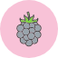 berry-blackberry-food-fruit-raspberry-icon
