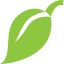 leaf-nature-plant-tree-icon
