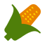 corn-vegetable-autumn-fall-icon