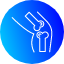 bone-femur-joint-knee-organ-icon-vector-design-icons-icon