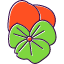 florist-flower-fragrance-ladylike-pansy-petals-spring-icon