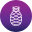 food-fruit-fruits-healthy-pineapple-icon
