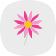 aster-flower-blossom-calendula-freshness-flowers-icon