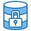 concept-future-internet-modern-screen-database-security-icon