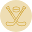 ice-hockey-icon