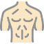 anatomy-body-chest-exercise-fitness-muscle-strong-icon
