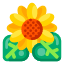 sun-flower-journey-trip-icon