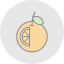 food-fruit-orange-organic-vegan-vegetarian-fruits-and-vegetables-icon
