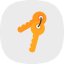 access-door-keychain-keys-real-estate-security-tag-icon