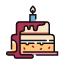 birthday-cake-celebration-dessert-homemade-sweet-icon