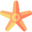starfish-icon
