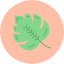 canada-leaf-maple-nature-icon