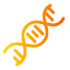 dna-genetical-structure-science-biology-icon