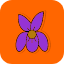 violet-purple-blossom-petals-bloom-flower-flowers-icon