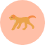 animal-cartoon-cute-dog-mammal-pet-puppy-icon