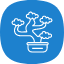 bonsai-feng-shui-nature-plant-pot-zen-gardening-icon