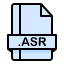 asr-file-format-extension-document-icon