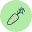 carrot-food-healthy-vegetables-autumn-icon