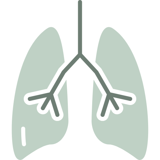 bronchitis icon, inflamation icon, influenza icon, lung icon, pneumonia ...