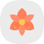 amaryllis-bloom-christmas-flower-gardening-plants-winter-icon