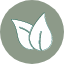 leaf-agronomy-crop-growth-nature-icon-icon
