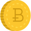 coin-icon