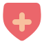 immune-shield-covid-icon