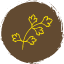 coriander-leaf-food-herb-ingredient-icon